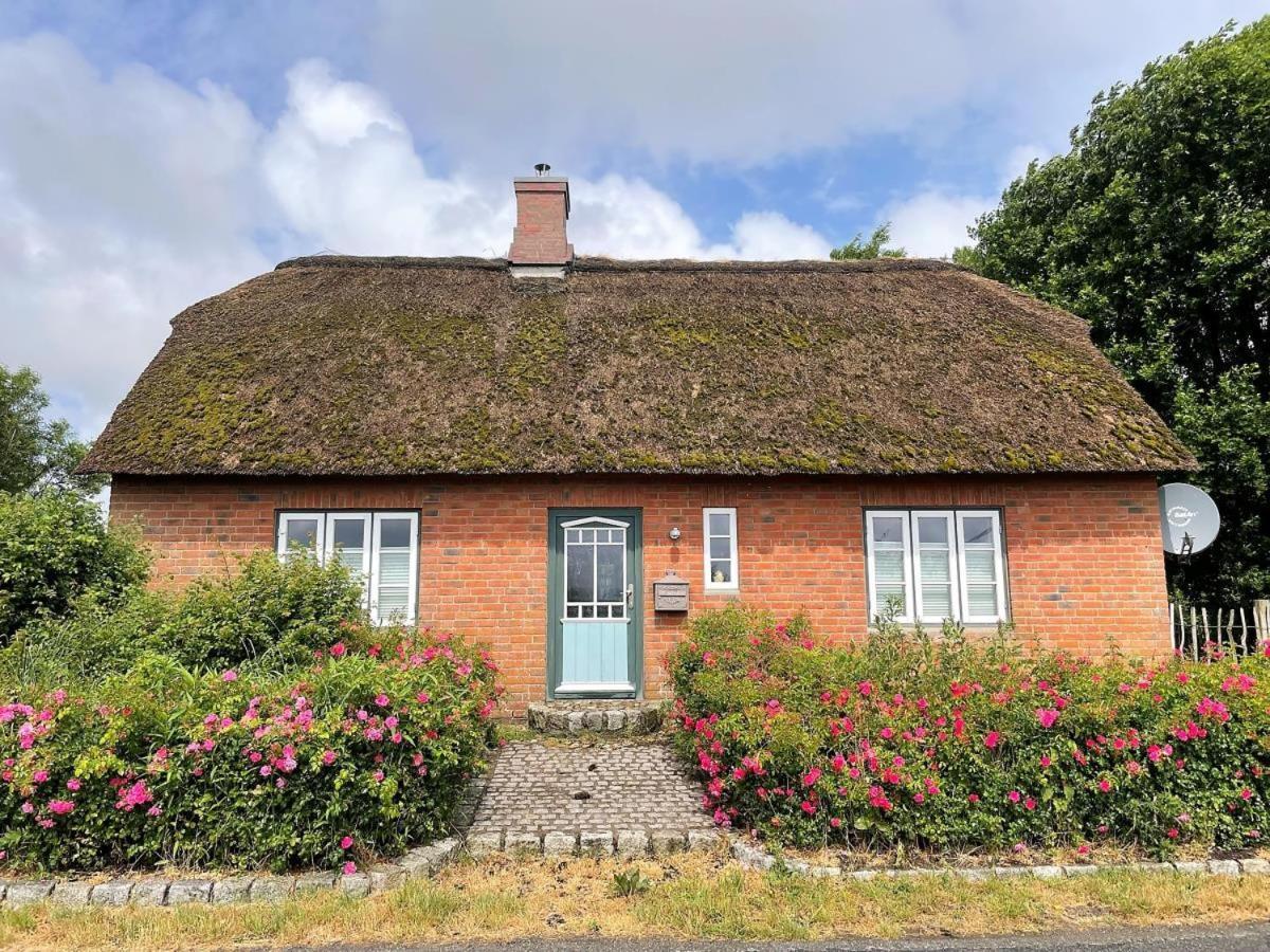 Das Puppenhaus, Reetdach, Sauna, Kamin, Eingezaeunt, Badewanne, Haustiere Willkommen Emmelsbull-Horsbull Exterior foto