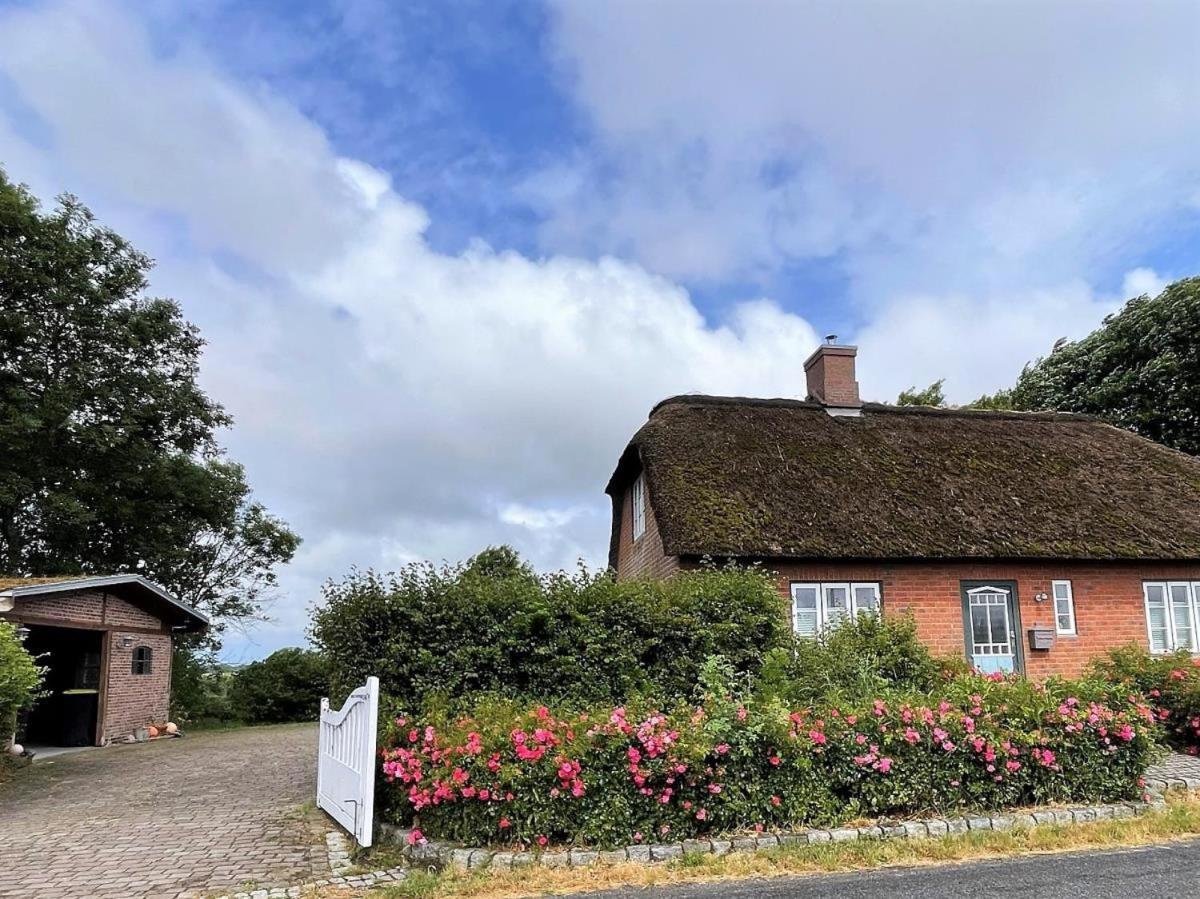 Das Puppenhaus, Reetdach, Sauna, Kamin, Eingezaeunt, Badewanne, Haustiere Willkommen Emmelsbull-Horsbull Exterior foto